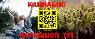 трава Кингисепп